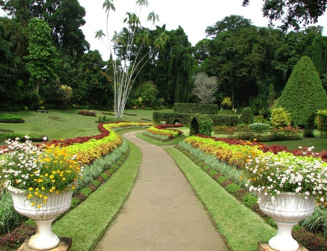 Peradeniya Botanical Gardens 